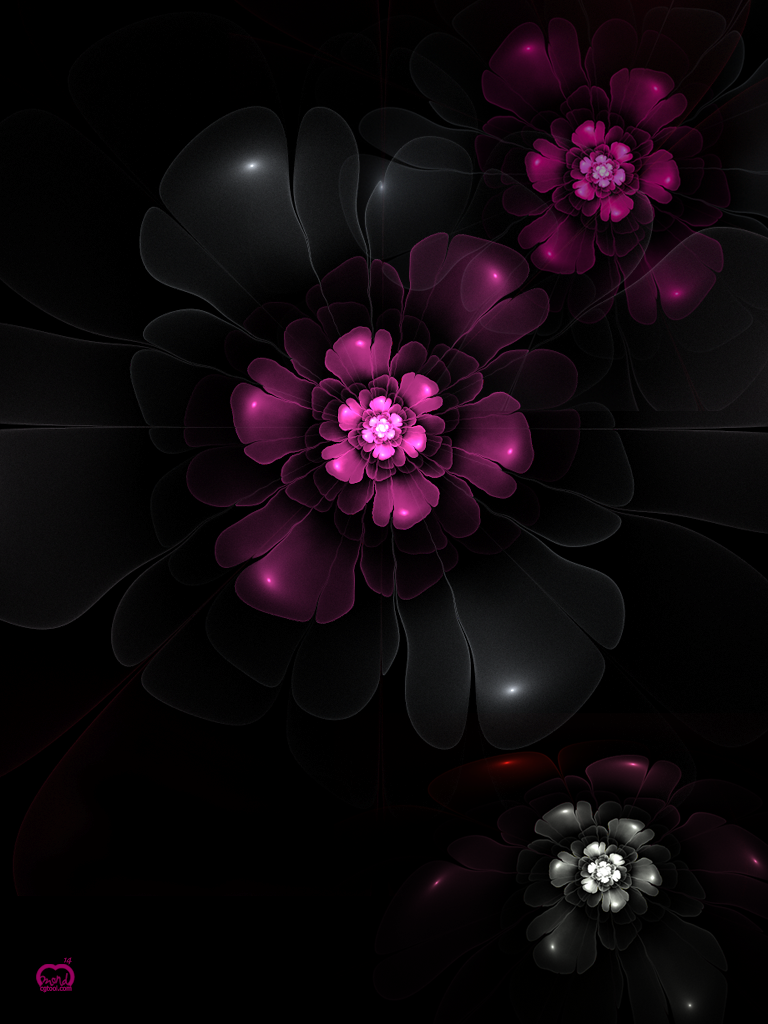iPad-flower.png
