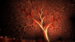 5.나무혈관.jpg